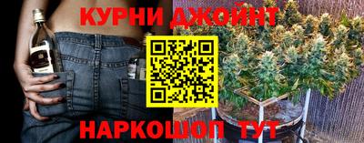 гашик Пыть-Ях
