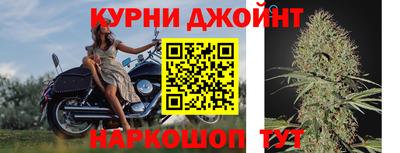 гашик Пыть-Ях