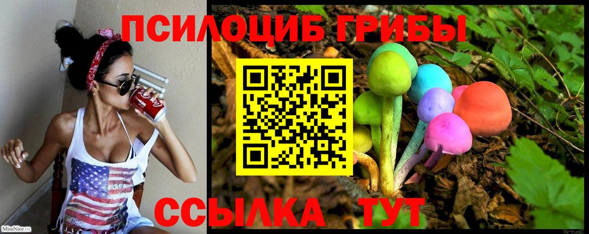 Псилоцибиновые грибы Psilocybine cubensis Павловский Посад