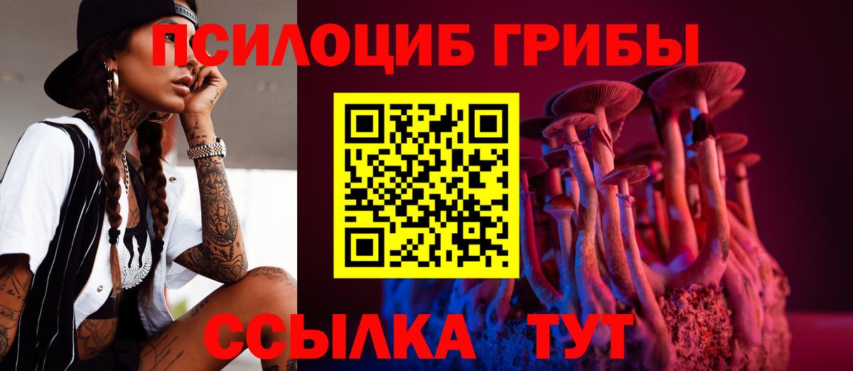 Павловский Посад  Псилоцибиновые грибы прущие грибы  дарнет шоп  Вход с VPN 